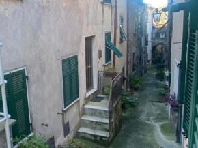 CLAEL Hause Apella